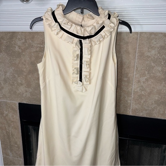 J. Crew Ruffle Trim Shift Dress size 6 damaged - Picture 6 of 14